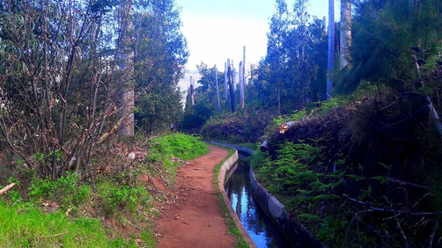 Serra de Água Valley Levada Walk - The levada system: what you learn while you walk