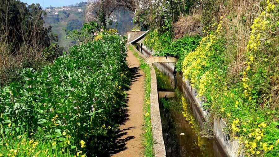 Serra de Água Valley Levada Walk - Pickup from Funchal, Câmara de Lobos, and Caniço (plus the Lido workaround)