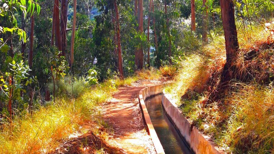 Serra de Água Valley Levada Walk - The 5km trail: what you’ll actually do on the walk