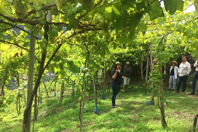 Signature Wine Tastings, Skywalk, Nature 4x4 Open Roof Expedition - Serra de Agua: the short valley pause you’ll be glad you didn’t skip