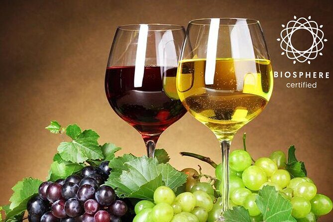 Signature Wine Tastings, Skywalk, Nature 4x4 Open Roof Expedition - Getting to the start in Funchal (and avoiding day-one stress)