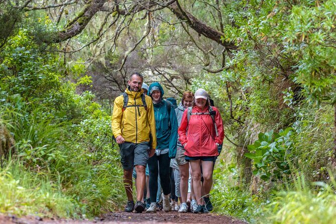 Skywalk 4x4 Experience and Rabacal 25 Fountains Levada Walk - Cascada da Risco and the Paul da Serra break (don’t skip lunch time)