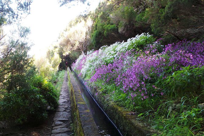 Skywalk 4x4 Experience and Rabacal 25 Fountains Levada Walk - The Skywalk 4x4 jeep ride: rugged fun with a safety-first feel