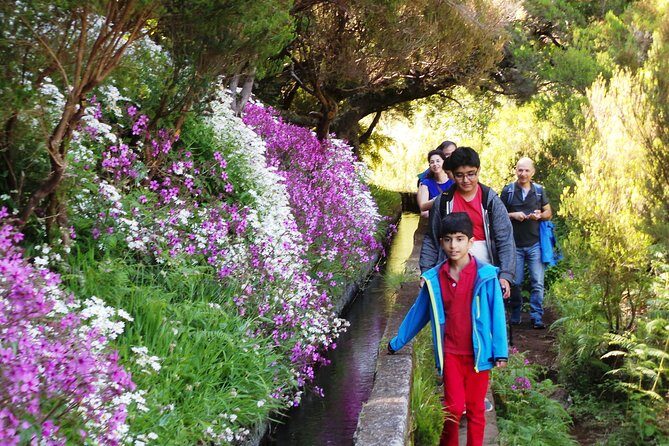 Skywalk 4x4 Experience and Rabacal 25 Fountains Levada Walk - Price and value: why $41 can be a smart deal here
