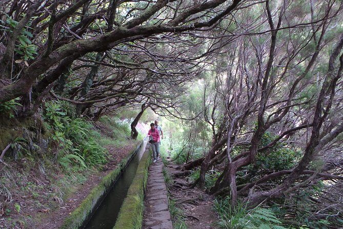 Skywalk 4x4 Experience and Rabacal 25 Fountains Levada Walk - Who this tour suits best (and who should think twice)
