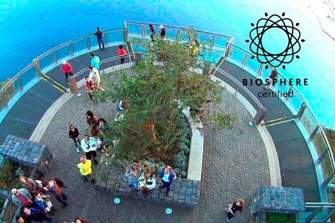 Skywalk, Amazing Views & Wine Tasting in Open Roof 4x4 Adventure - Why This Skywalk + Wine 4x4 Tour Feels Practical (Not Just Scenic)