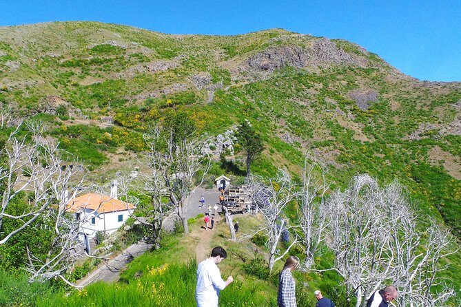 Skywalk, Amazing Views & Wine Tasting in Open Roof 4x4 Adventure - Off-Road Reality Check: Comfort, Seat Choice, and What to Bring