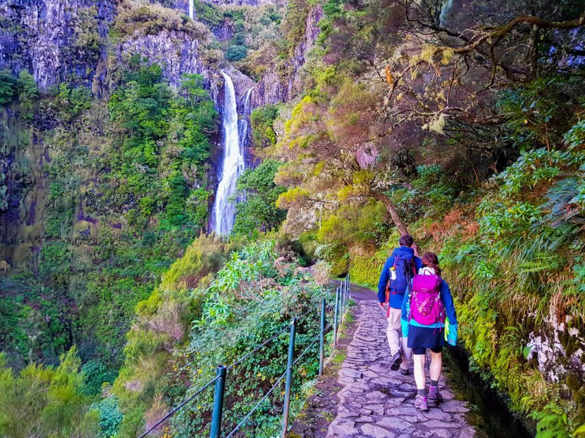 Small Group Walks Rabaçal 25 Fontes - Rabaçal 25 Fontes: a levada walk with built-in story