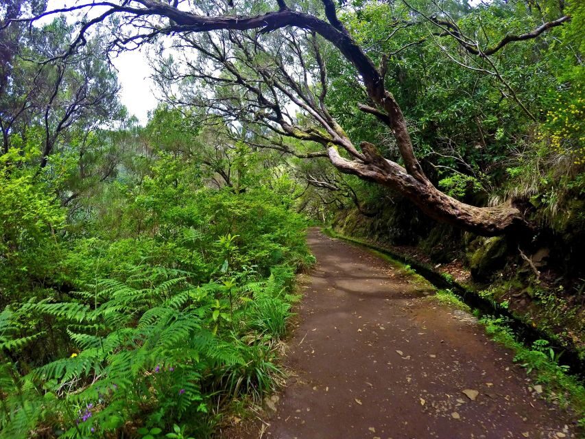 Small Group Walks Rabaçal 25 Fontes - Who should book this walk, and who should think twice