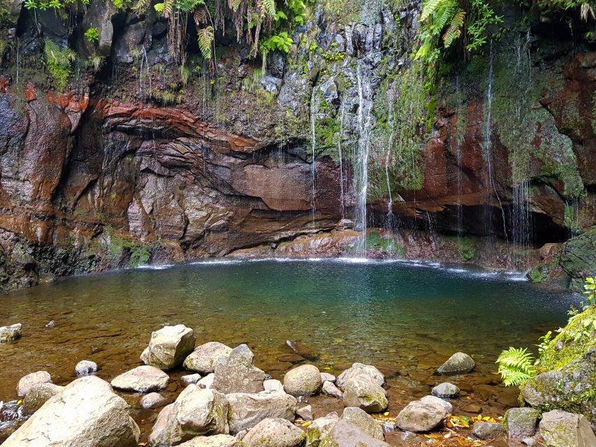 Small Group Walks Rabaçal 25 Fontes - Getting picked up in Madeira: Funchal-area convenience without the hassle