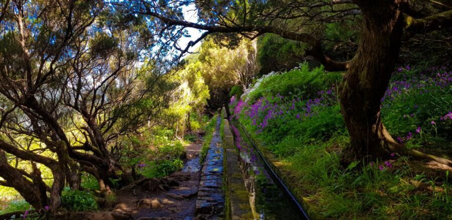 Small Group Walks Rabaçal 25 Fontes - Time on the trail vs total tour feel
