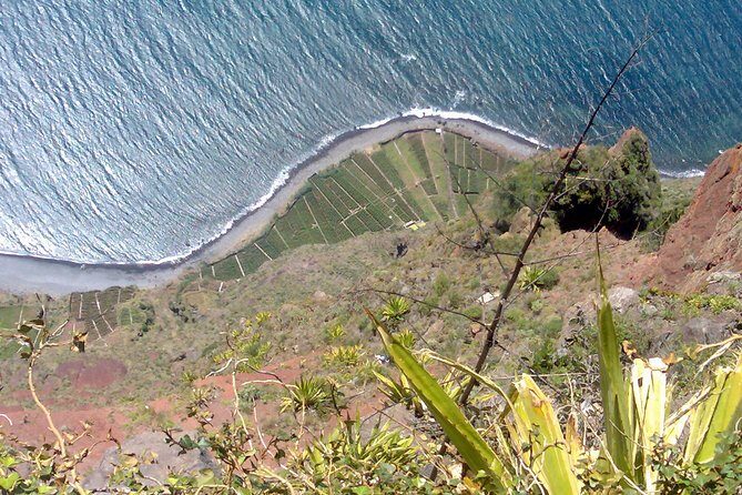 Small Group West Tour Waterfalls & Fanal Forest Tour - Price and value: what $38.21 actually gets you