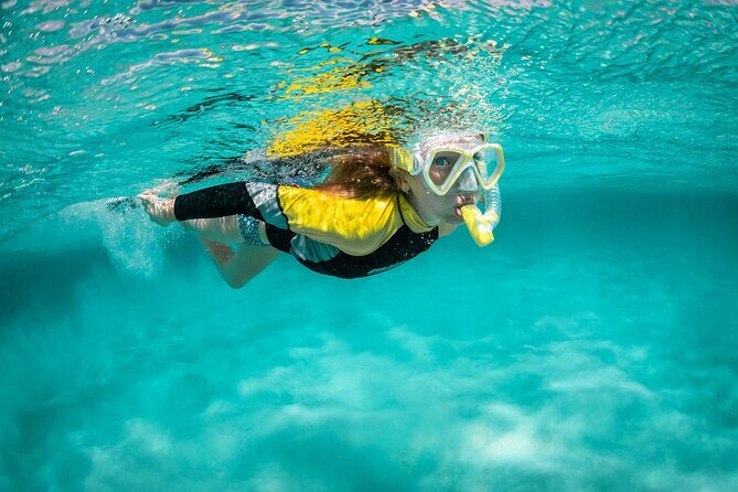 Snorkelling Trip at Ponta de São Lourenço Protected Area - Key things I’d bet on (before you go)