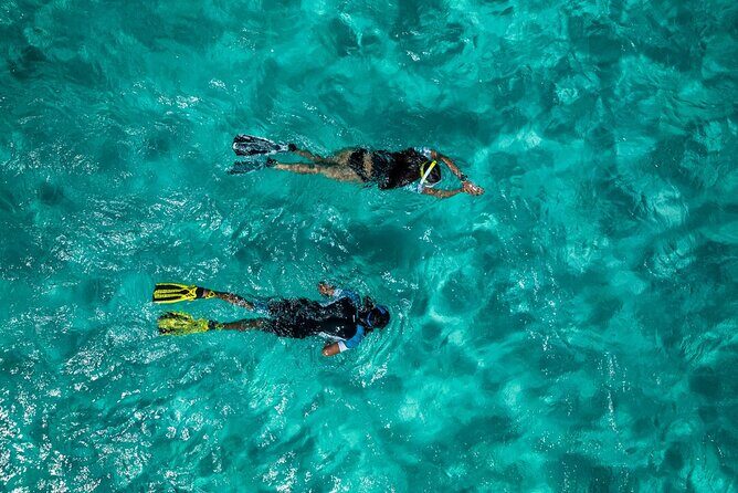 Snorkelling Trip at Ponta de São Lourenço Protected Area - The 2:30 pm rhythm: what happens before you swim