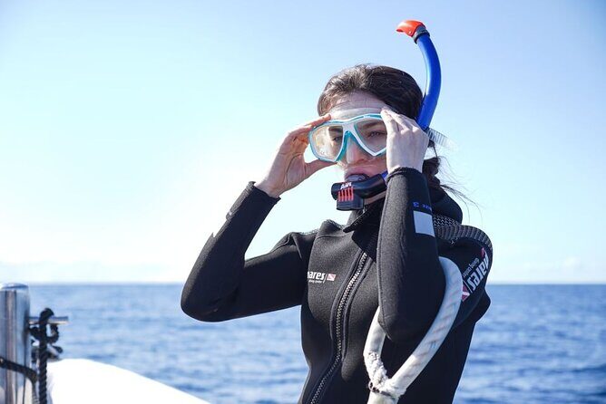 Snorkelling Trip at Ponta de São Lourenço Protected Area - Gear and comfort: the small wins that make the swim easier