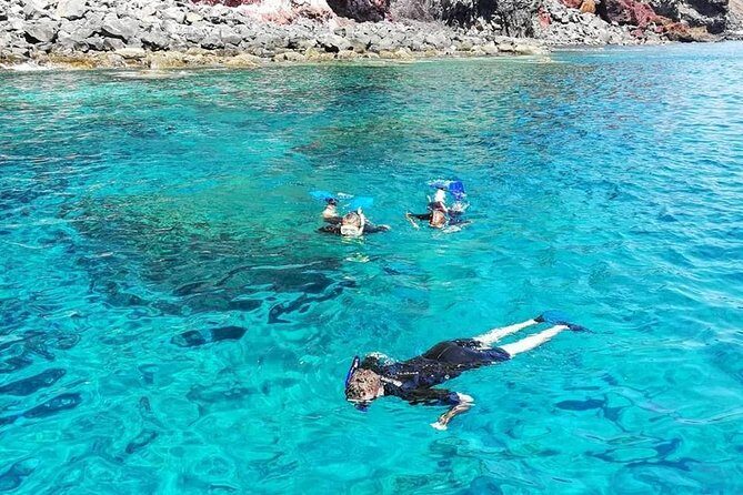 Snorkelling Trip at Ponta de São Lourenço Protected Area - Price and value: what $42-ish really buys you