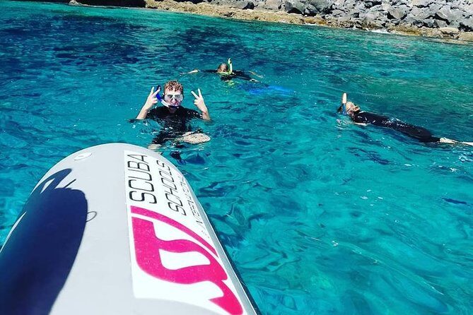 Snorkelling Trip at Ponta de São Lourenço Protected Area - Who this trip suits best (and who may want a different plan)