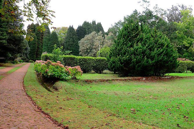 Sunday Market and Gardens Tour - Santo da Serra gardens: camellias, quiet paths, and small animals