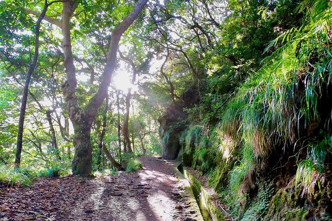 Sunrise Tour @ Pico Do Areiro | Half Day 4x4 Tour - Stop 3 at Balcoes de Ribeiro Frio: The Bonus Levada Walk