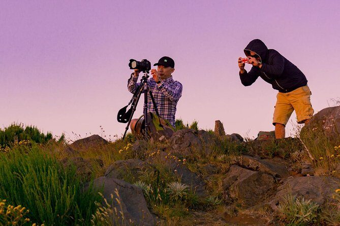 Sunrise Tour @ Pico Do Areiro | Half Day 4x4 Tour - Price and Value: Is $100.42 a Smart Use of Your Time?
