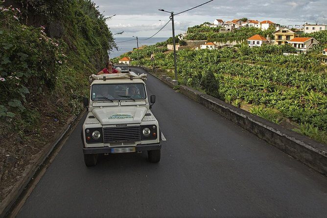 The Best of the South - Jeep Safari - Full Day - Shared Tour - The bananas and sugar cane production stop: understanding the island’s engine