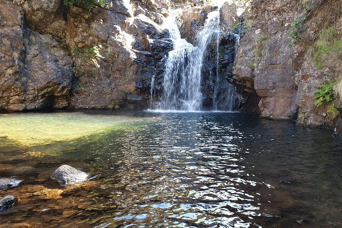 The Lakes Walk - Morning pickup in Funchal: start your day without the stress