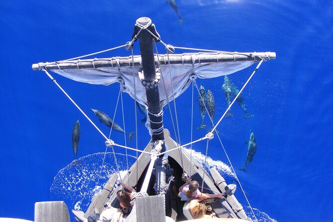 Time Travel on Columbus Replica Flag Ship in Madeira - The swim stop in summer: great fun, but come prepared