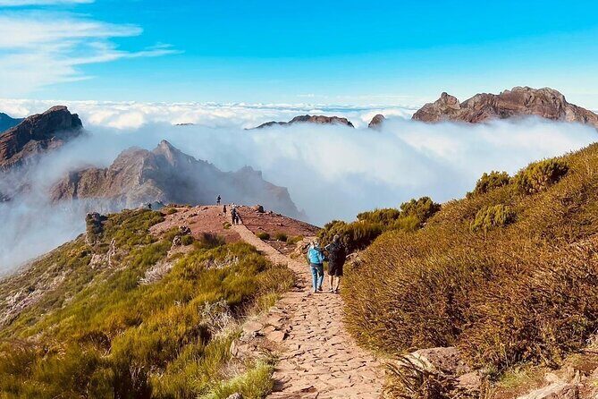 Transfer from Achada do Teixeira to Pico do Arieiro - Timing and Seat Availability: Why the “5 Minutes Before” Option Matters