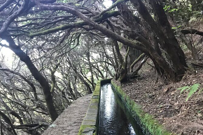 Twenty-Five Fountains Levada walks (private) - Your Main Goal: 25 Fontes and Cascada da Risco