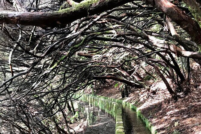 Twenty-Five Fountains Levada walks (private) - Distance, Timing, and What 5 Hours Feels Like