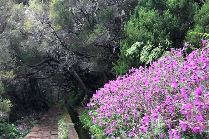 Twenty-Five Fountains Levada walks (private) - Price and Value: What $90.31 Buys You in a Private Setting
