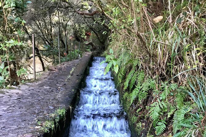 Twenty-Five Fountains Levada walks (private) - Who This Walk Suits Best (and Who Might Want to Rethink It)