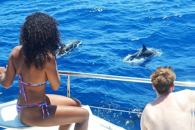 VipDolphins Luxury Whale Watching - Funchal Whale Watching on a Small Catamaran: The Overall Feel