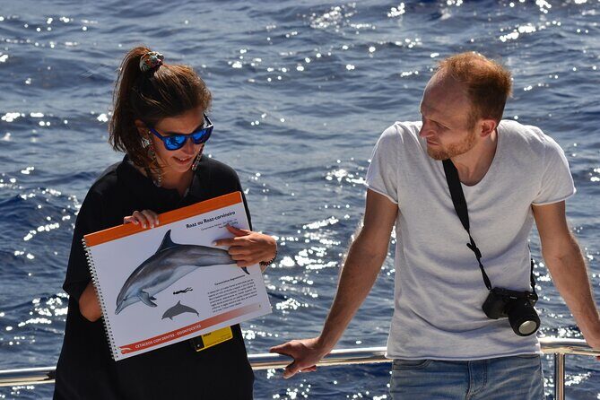 VipDolphins Luxury Whale Watching - The Catamaran Ride: Comfort, Seating, and When the Water Acts Up