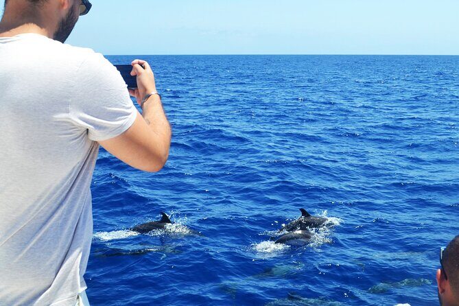 VipDolphins Luxury Whale Watching - Cabo Girao Swim and Snorkeling: The Scenic Break That Changes the Day
