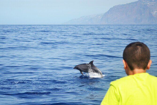 VipDolphins Luxury Whale Watching - What’s Included On Board: Drinks, Snacks, Blankets, and Snorkel Gear