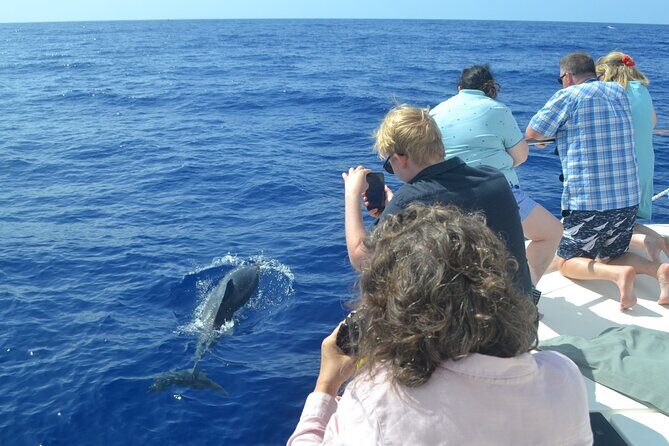 VipDolphins Luxury Whale Watching - Who This Tour Fits Best (and Who Should Plan Carefully)