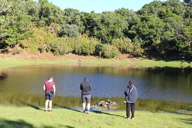 Volcanic Pools and Northwest 4WD Full Day Tour - Your day on the road: from Serra de Agua to Fanal