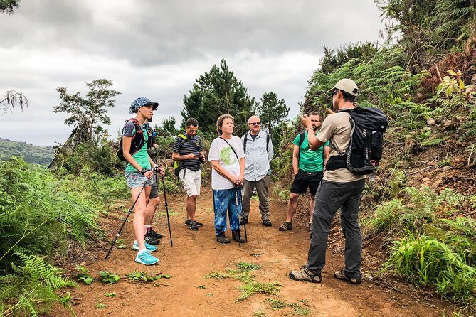 Walk with a local - Why This Walk Feels Like Madeira, Not Just a Hike