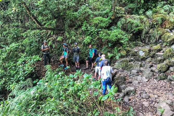 Walk with a local - Pace, Terrain, and Footwear: Don’t Wing It