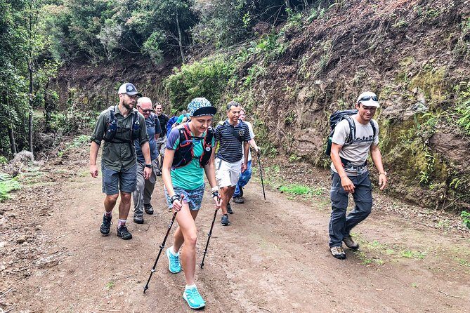 Walk with a local - Price and What You’re Really Paying For ($66.38)