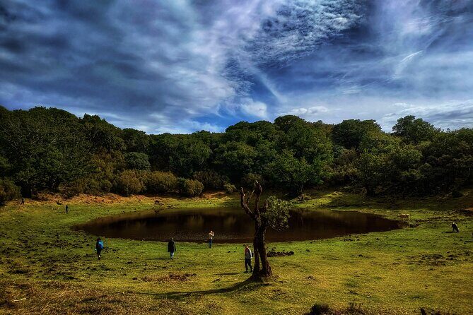 West Madeira Island Guided Tour & Fanal Mystic Forest - Why This West Madeira Loop Works for Most Days