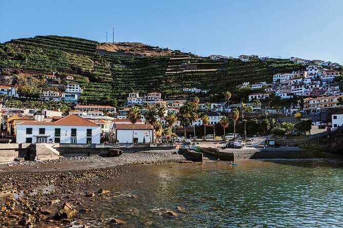 West Madeira Island Guided Tour & Fanal Mystic Forest - Price and What You Should Budget Beyond the Ticket