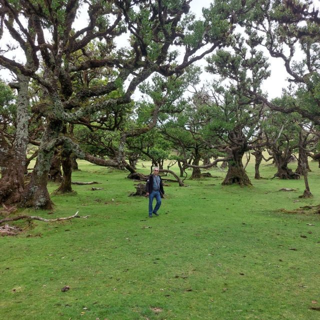 West Madeira:, Laurel Forest, Waterfall, Rock Pools, Walk - Seixal and the Bride’s Veil: waterfall views with quick timing