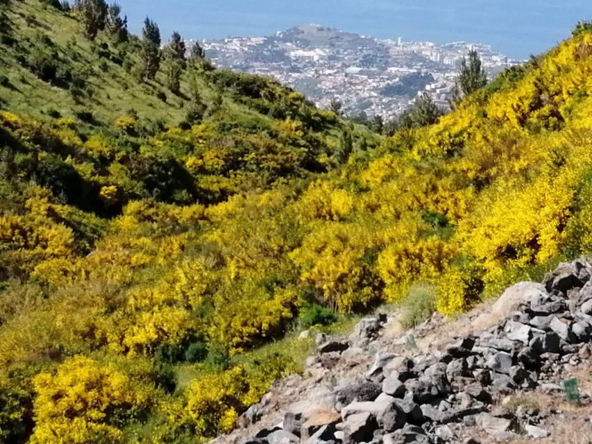 West Madeira:, Laurel Forest, Waterfall, Rock Pools, Walk - Vineyard and São Vicente: the Madeira finish you might savor