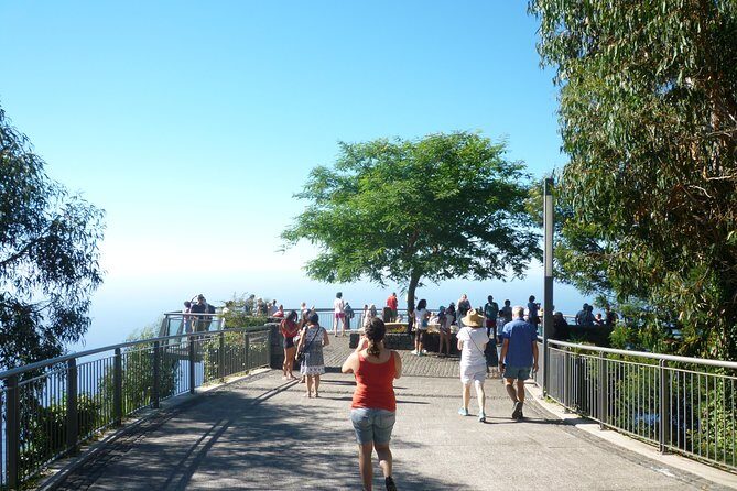 West Tour - Stop 2: Cabo Girão’s 580m View and the Glass Platform Moment