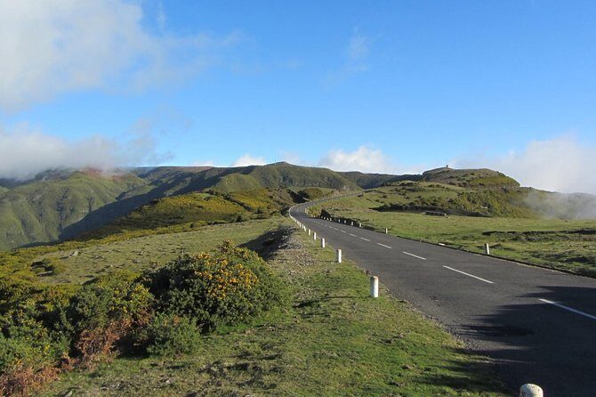 West Tour-Fanal Forest & Porto Moniz Natural Pools Small Groups - Should you book this West Madeira tour?