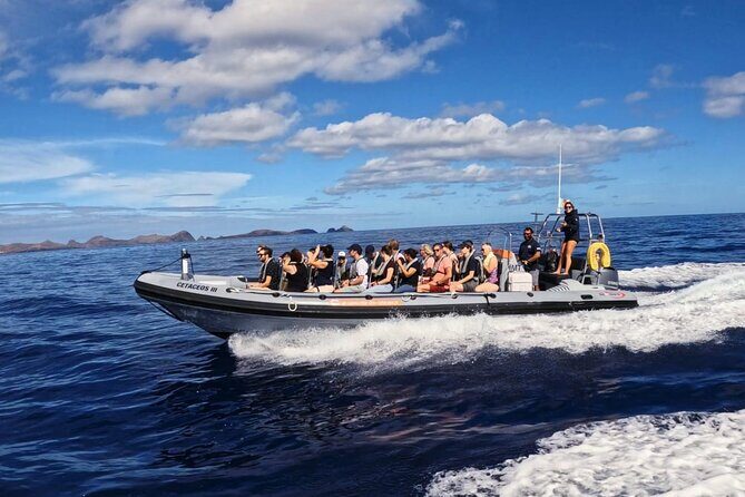 Whale and Dolphin Watching Tour from Funchal - Practical details that affect your day