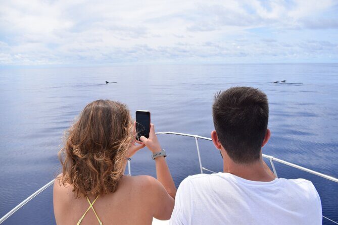 Whale and Dolphin Watching Tour in Madeira - Small-group comfort (max 12) is the real value