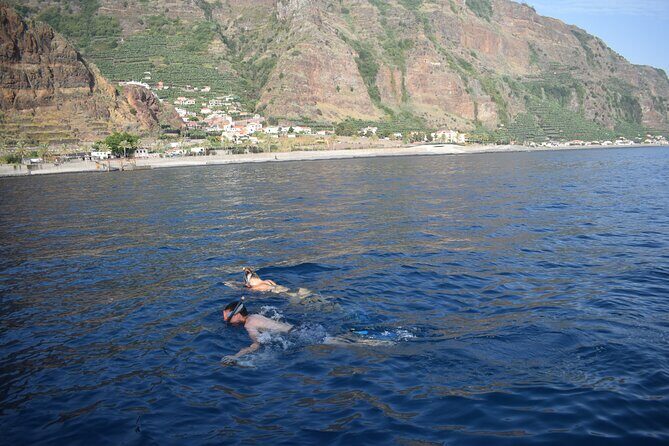 Whale and Dolphin Watching Tour in Madeira - Your onboard flow: safety, cruising, then chill on the return